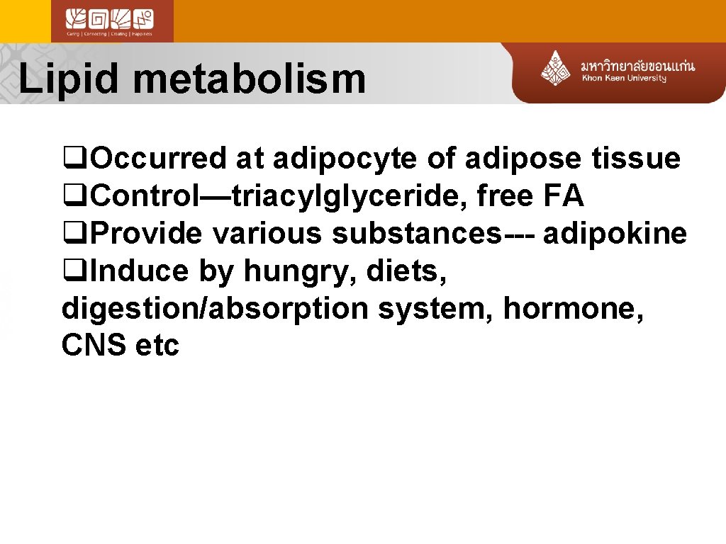 Lipid metabolism q. Occurred at adipocyte of adipose tissue q. Control—triacylglyceride, free FA q.