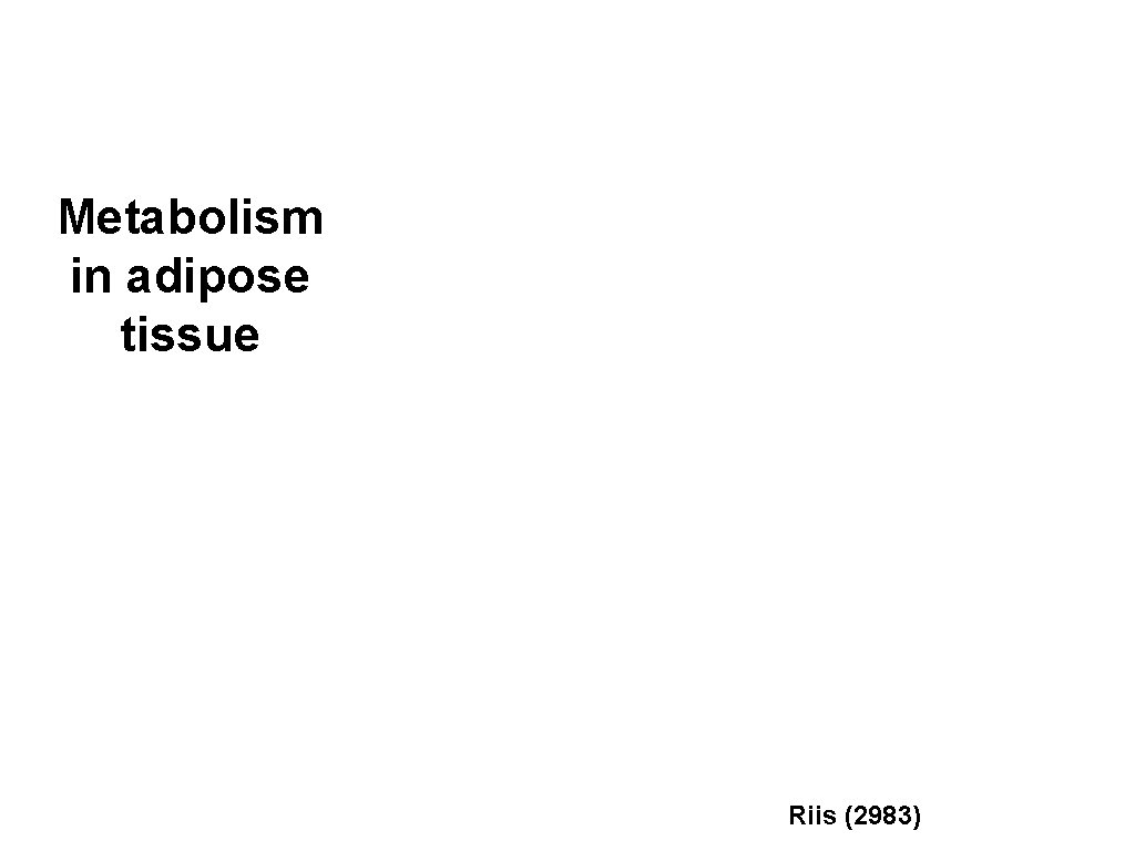 Metabolism in adipose tissue Riis (2983) 