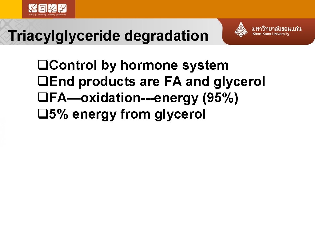Triacylglyceride degradation q. Control by hormone system q. End products are FA and glycerol