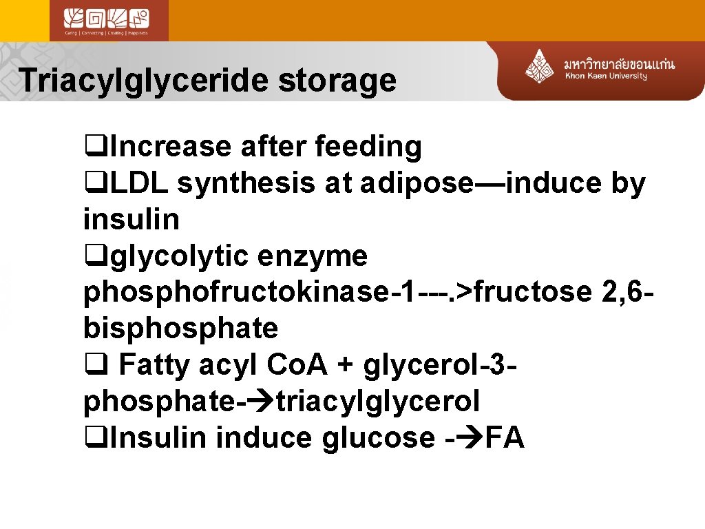 Triacylglyceride storage q. Increase after feeding q. LDL synthesis at adipose—induce by insulin qglycolytic