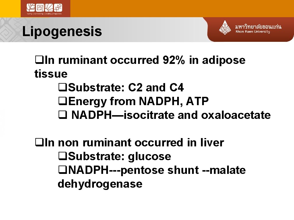 Lipogenesis q. In ruminant occurred 92% in adipose tissue q. Substrate: C 2 and