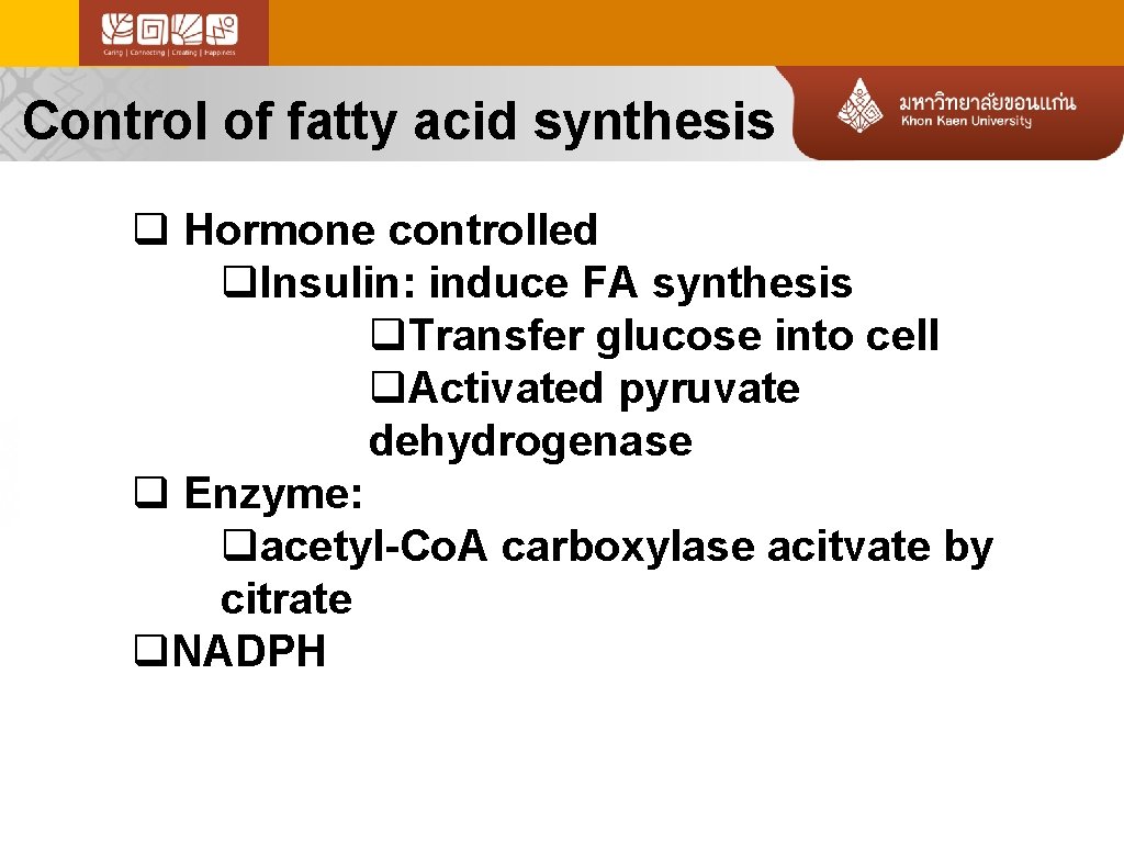 Control of fatty acid synthesis q Hormone controlled q. Insulin: induce FA synthesis q.