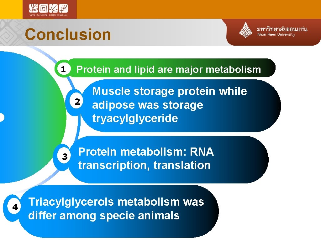 Conclusion 1 Protein and lipid are major metabolism 2 3 4 Muscle storage protein