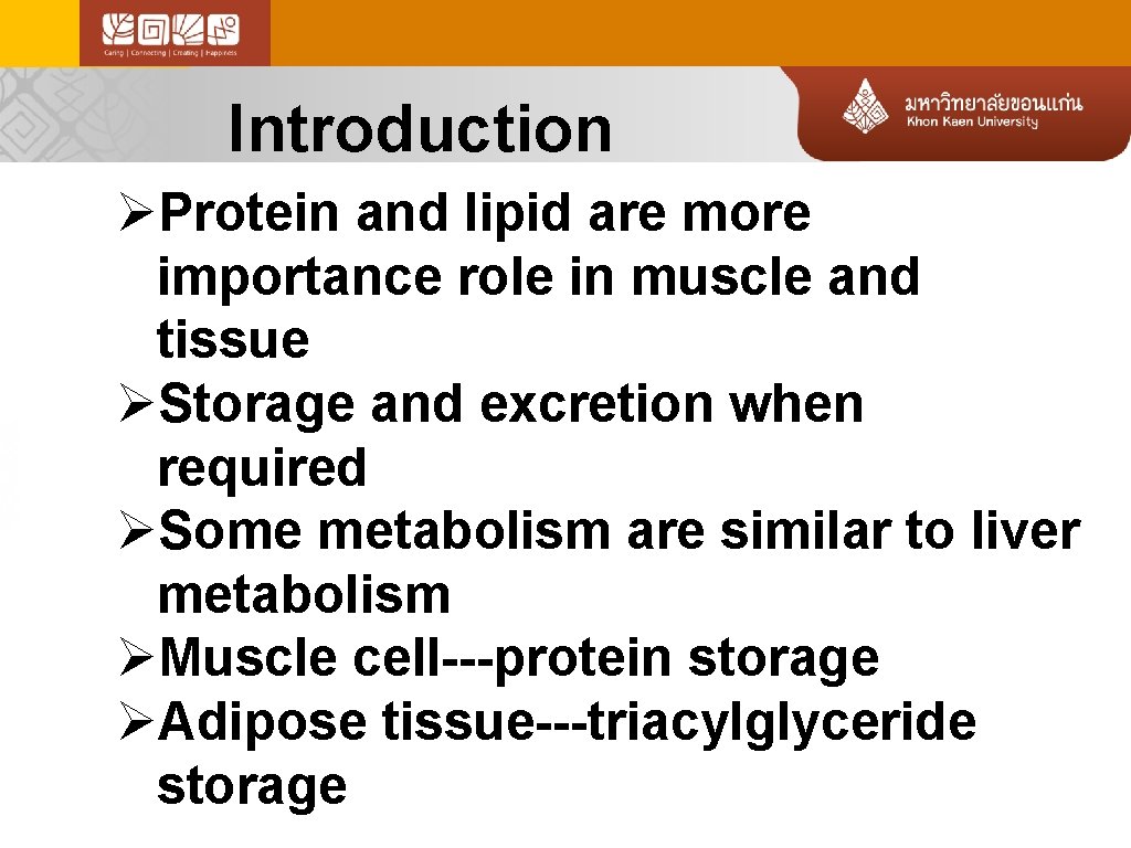 Introduction ØProtein and lipid are more importance role in muscle and tissue ØStorage and