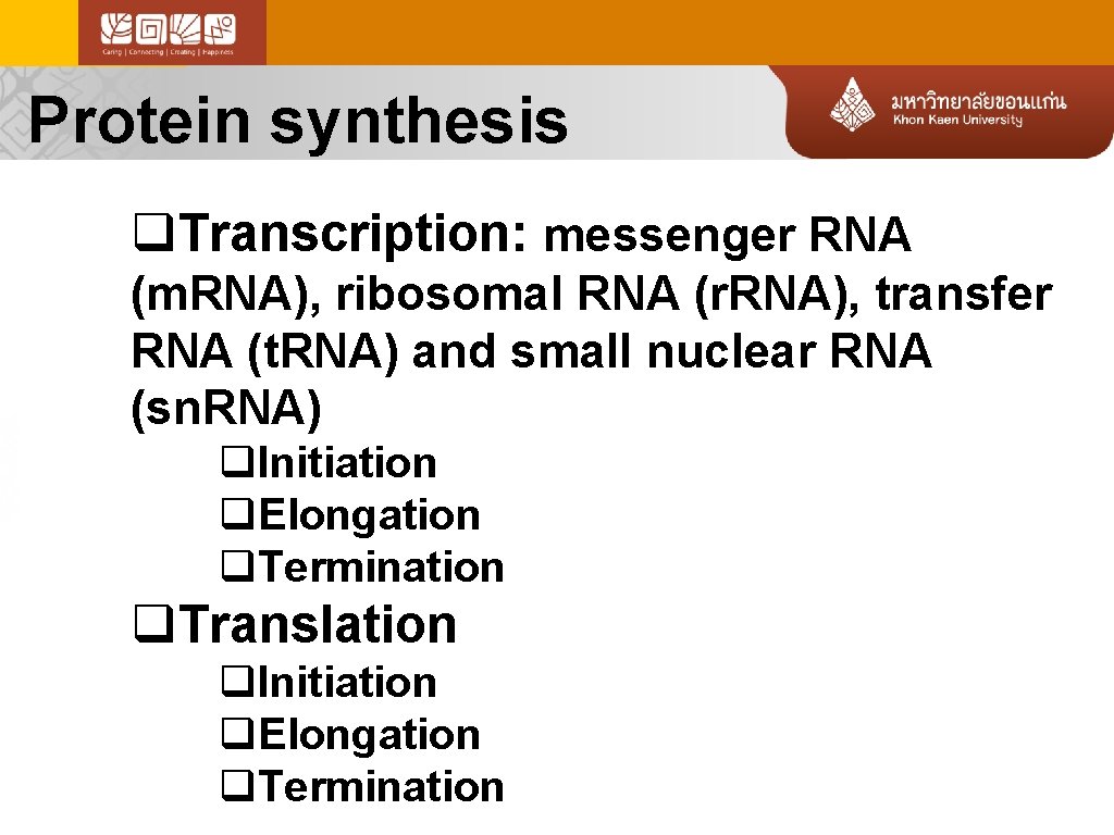 Protein synthesis q. Transcription: messenger RNA (m. RNA), ribosomal RNA (r. RNA), transfer RNA