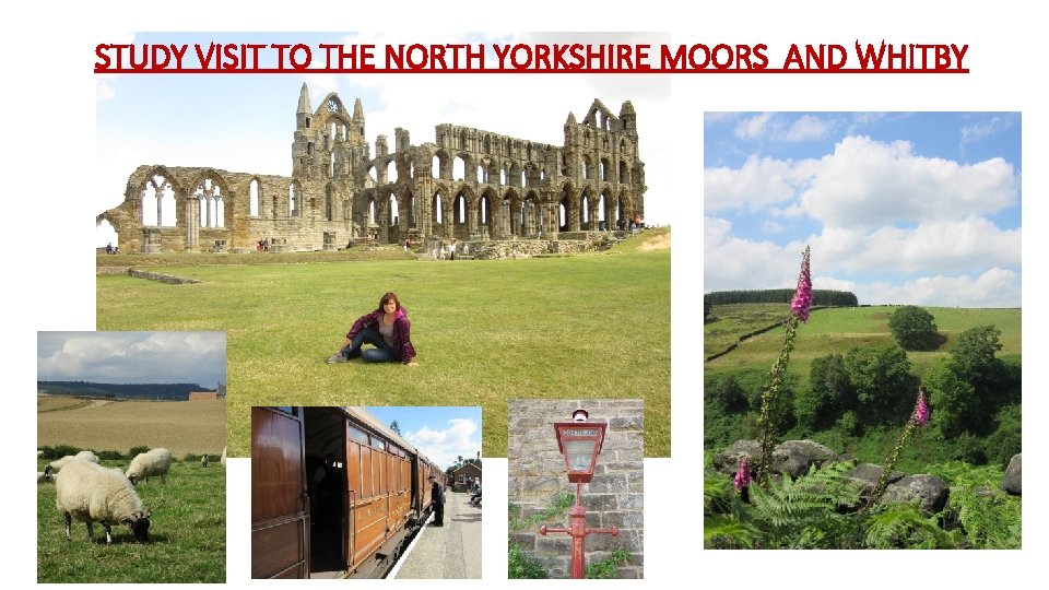 STUDY VISIT TO THE NORTH YORKSHIRE MOORS AND WHITBY 