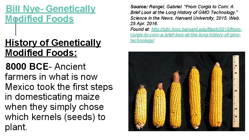  Bill Nye- Genetically Modified Foods History of Genetically Modified Foods: 8000 BCE- Ancient