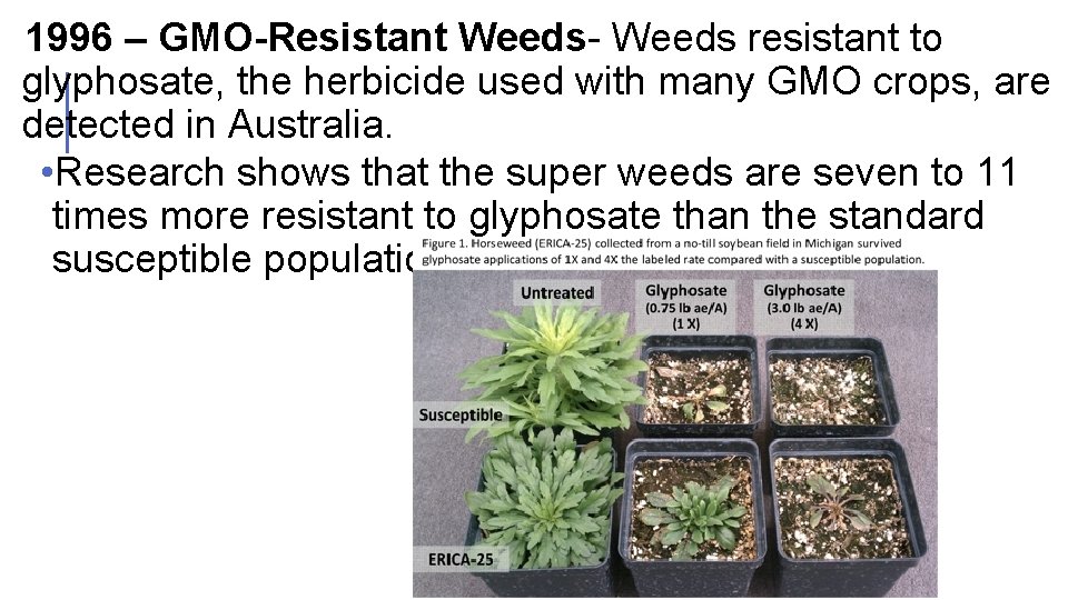  1996 – GMO-Resistant Weeds- Weeds resistant to glyphosate, the herbicide used with many