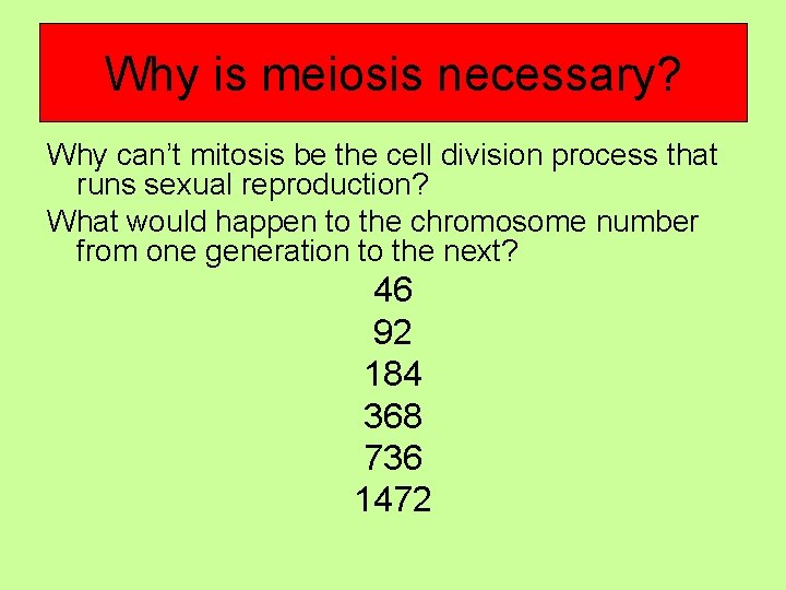 Why is meiosis necessary? Why can’t mitosis be the cell division process that runs