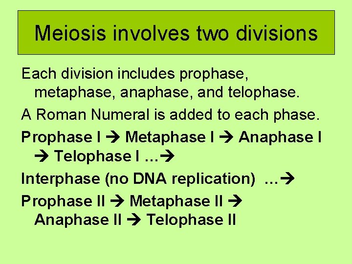 Meiosis involves two divisions Each division includes prophase, metaphase, and telophase. A Roman Numeral