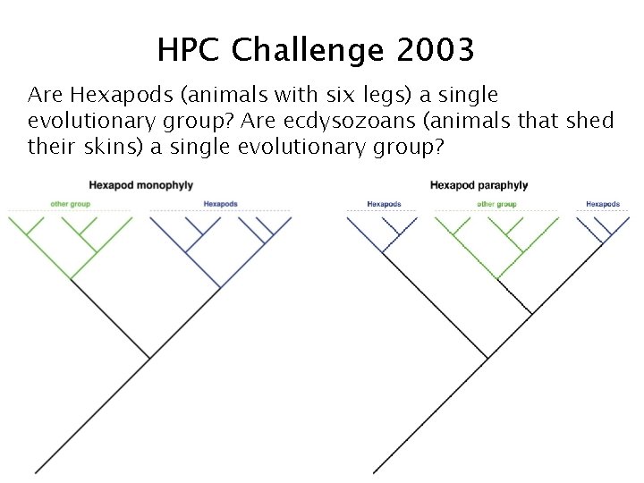 HPC Challenge 2003 Are Hexapods (animals with six legs) a single evolutionary group? Are