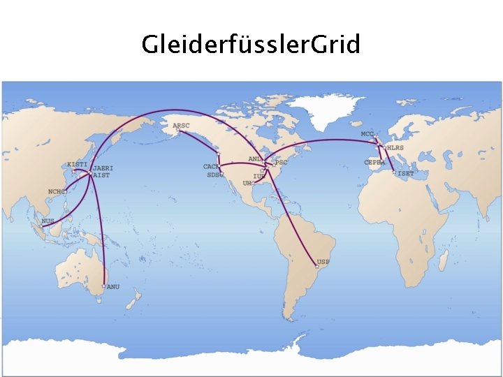 Gleiderfüssler. Grid 35 