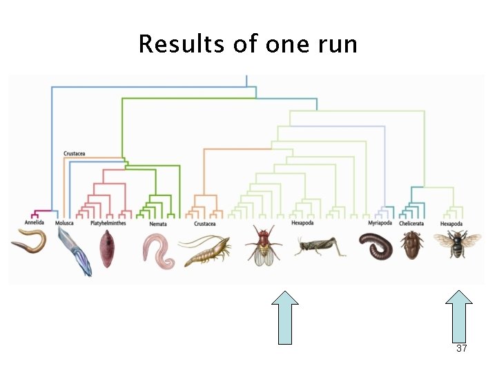 Results of one run 37 