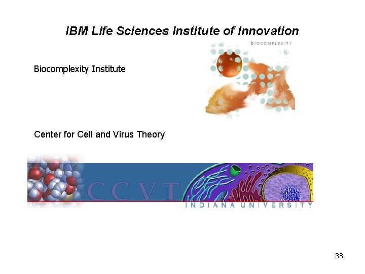 IBM Life Sciences Institute of Innovation Biocomplexity Institute Center for Cell and Virus Theory