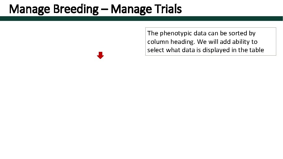 Manage Breeding – Manage Trials The phenotypic data can be sorted by column heading.