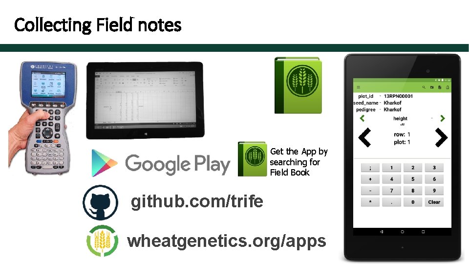 Collecting Field notes Get the App by searching for Field Book github. com/trife wheatgenetics.