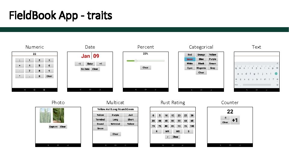 Field. Book App - traits Numeric Date Photo Categorical Percent Multicat Rust Rating Text