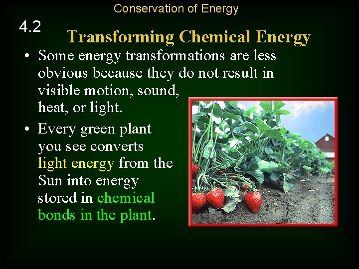 Conservation of Energy 4. 2 Transforming Chemical Energy • Some energy transformations are less