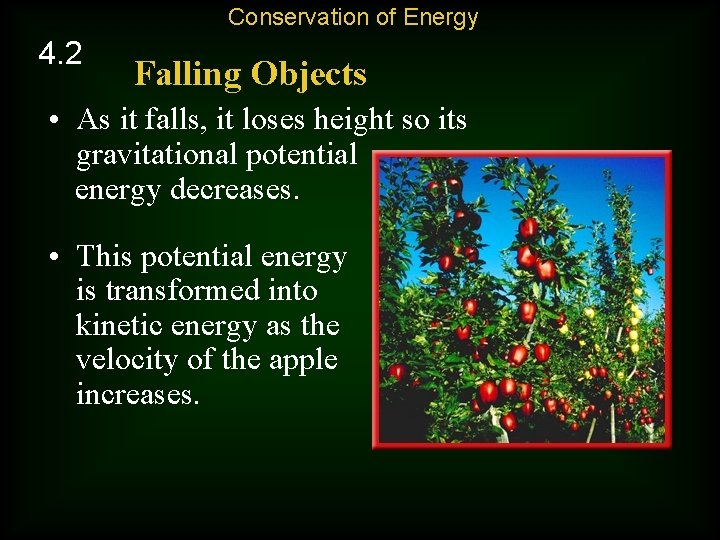 Conservation of Energy 4. 2 Falling Objects • As it falls, it loses height