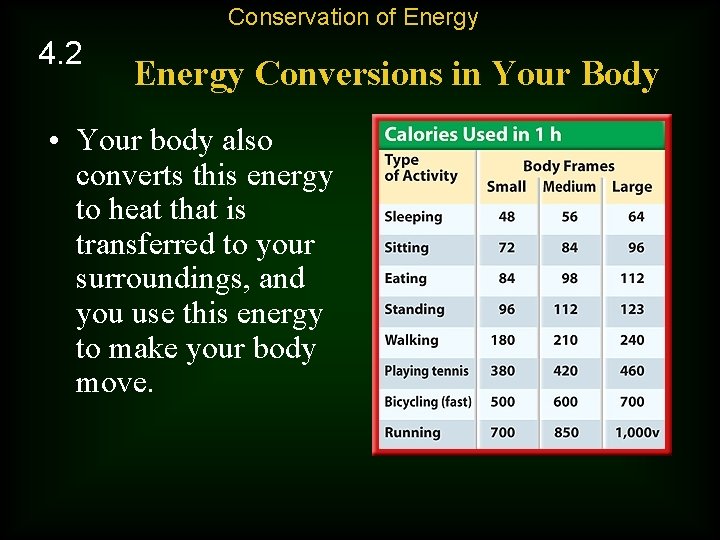 Conservation of Energy 4. 2 Energy Conversions in Your Body • Your body also