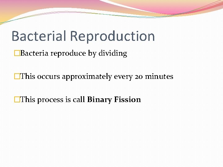Bacterial Reproduction �Bacteria reproduce by dividing �This occurs approximately every 20 minutes �This process