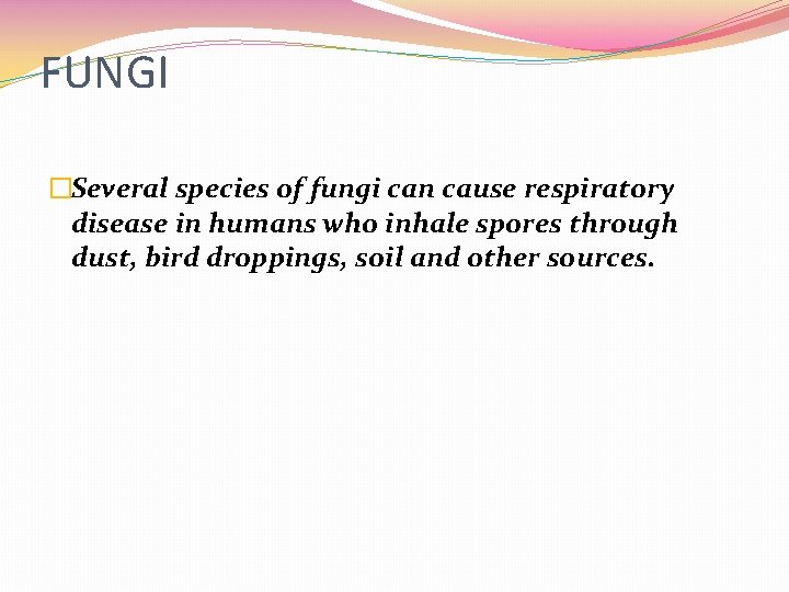 FUNGI �Several species of fungi can cause respiratory disease in humans who inhale spores