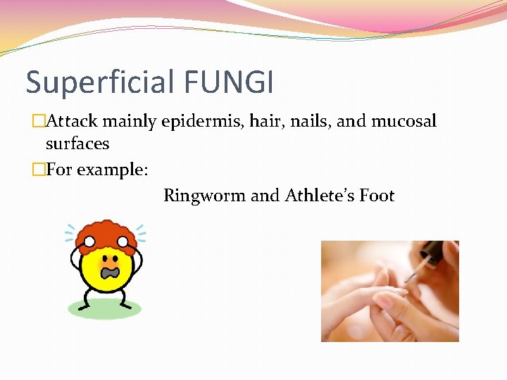 Superficial FUNGI �Attack mainly epidermis, hair, nails, and mucosal surfaces �For example: Ringworm and