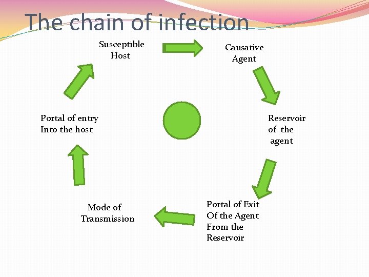 The chain of infection Susceptible Host Causative Agent Portal of entry Into the host