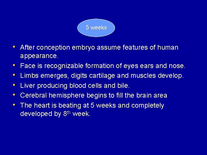 5 weeks • After conception embryo assume features of human • • • appearance.