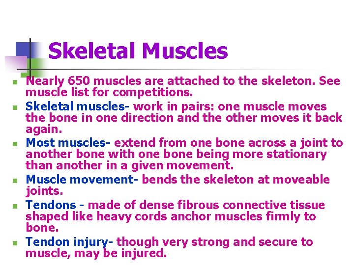 Skeletal Muscles n n n Nearly 650 muscles are attached to the skeleton. See