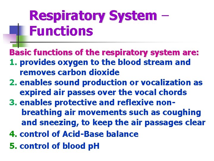 Respiratory System – Functions Basic functions of the respiratory system are: 1. provides oxygen