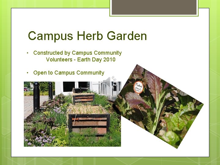 Campus Herb Garden • Constructed by Campus Community Volunteers - Earth Day 2010 •
