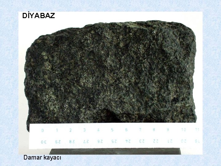 DİYABAZ Damar kayacı 