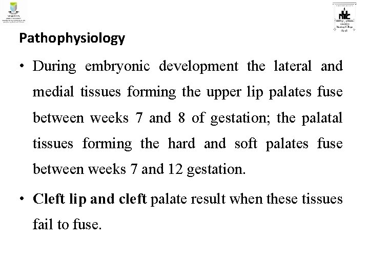 Pathophysiology • During embryonic development the lateral and medial tissues forming the upper lip