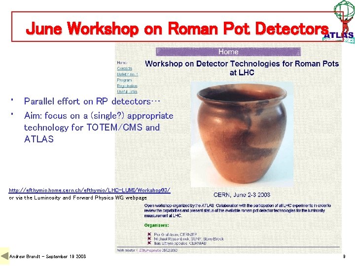 June Workshop on Roman Pot Detectors • • Parallel effort on RP detectors… Aim: