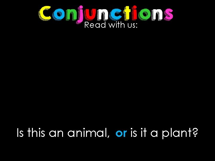 Read with us: Is this an animal, or is it a plant? 