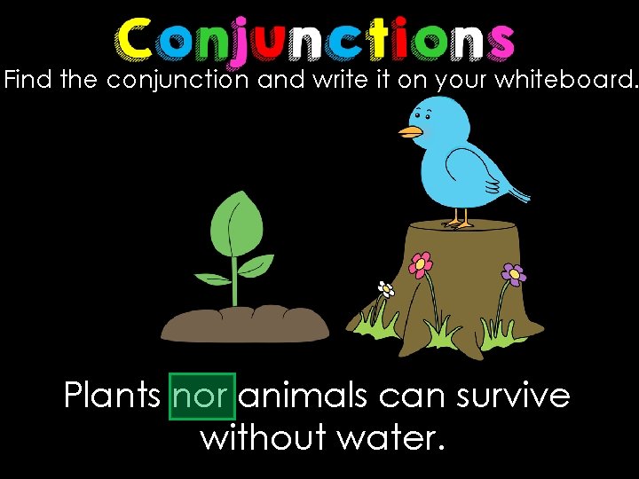 Find the conjunction and write it on your whiteboard. Plants nor animals can survive