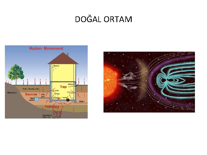 DOĞAL ORTAM 