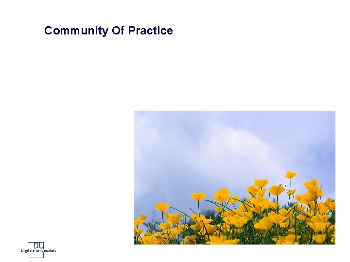 Community Of Practice 