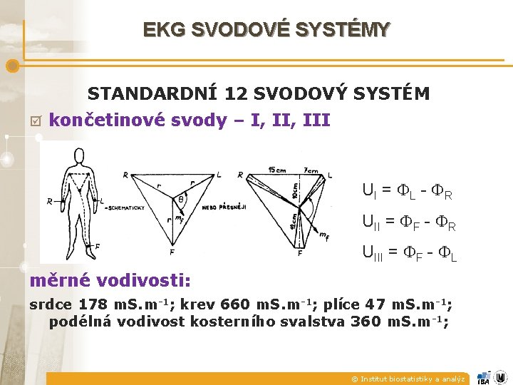 EKG SVODOVÉ SYSTÉMY STANDARDNÍ 12 SVODOVÝ SYSTÉM þ končetinové svody – I, III UI