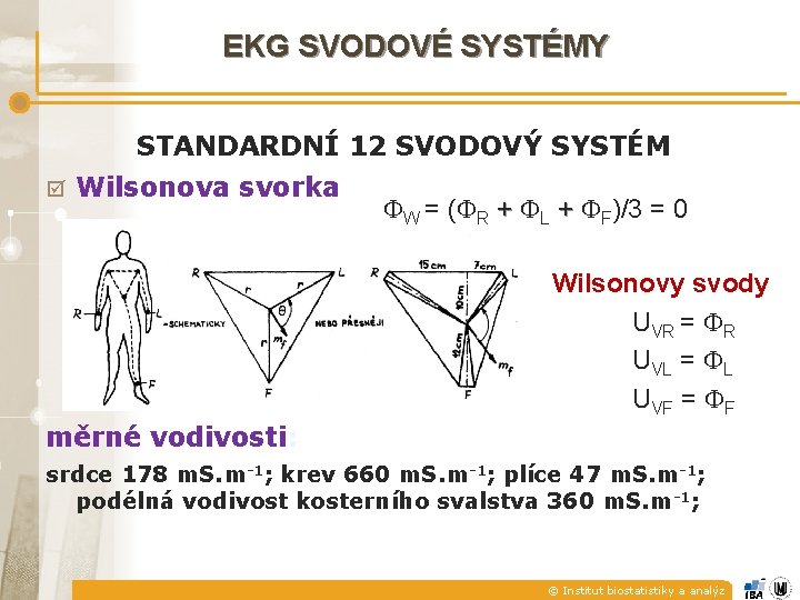 EKG SVODOVÉ SYSTÉMY STANDARDNÍ 12 SVODOVÝ SYSTÉM þ Wilsonova svorka W = ( R