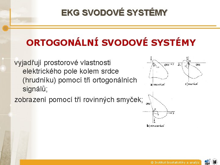 EKG SVODOVÉ SYSTÉMY ORTOGONÁLNÍ SVODOVÉ SYSTÉMY vyjadřují prostorové vlastnosti elektrického pole kolem srdce (hrudníku)