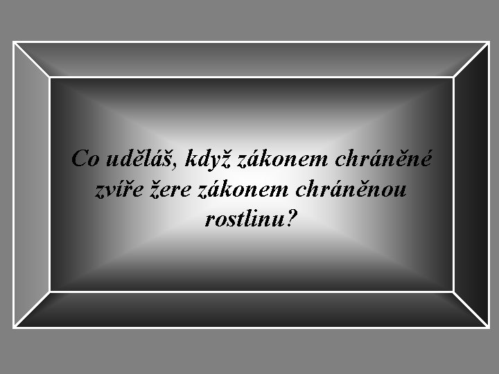 Co uděláš, když zákonem chráněné zvíře žere zákonem chráněnou rostlinu? 