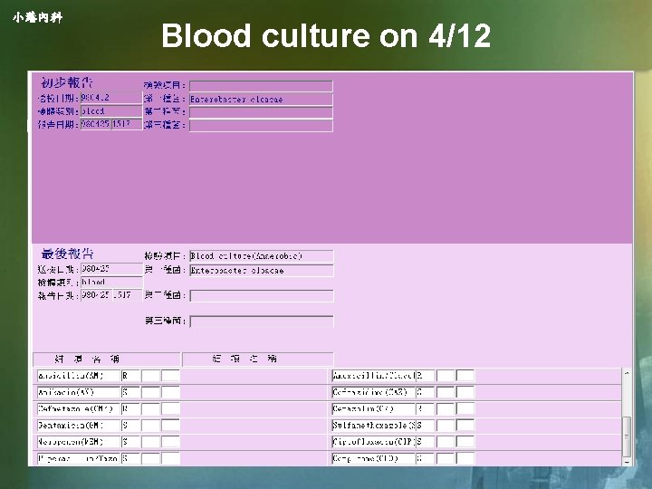 小港內科 Blood culture on 4/12 