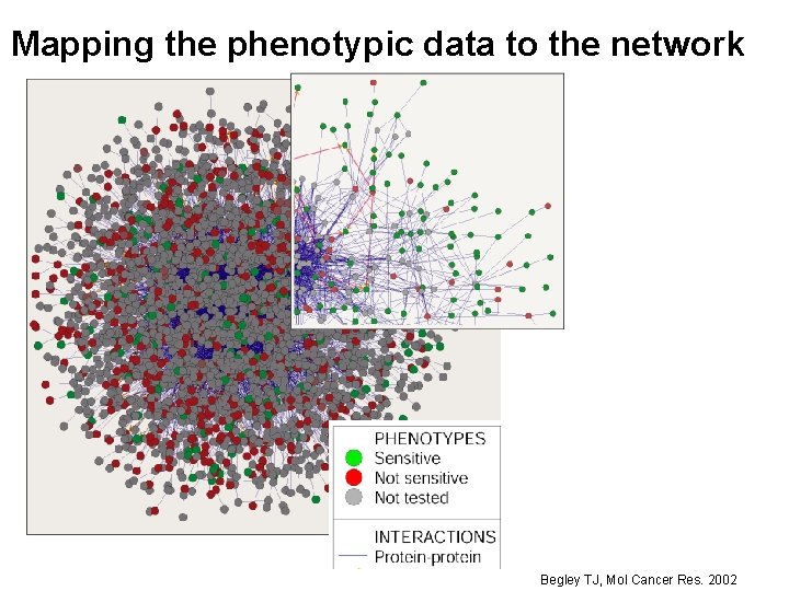 Mapping the phenotypic data to the network Begley TJ, Mol Cancer Res. 2002 