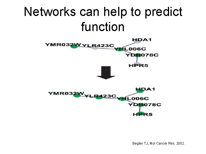 Networks can help to predict function Begley TJ, Mol Cancer Res. 2002. 