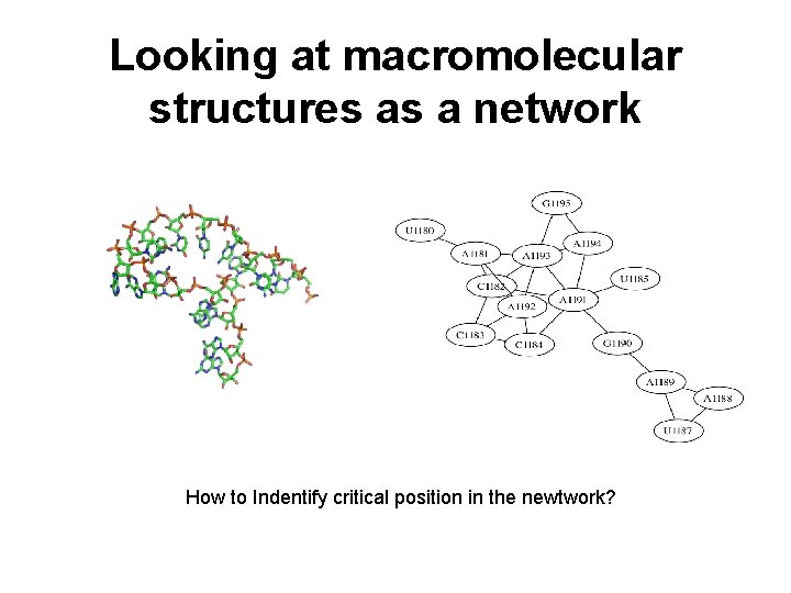 Looking at macromolecular structures as a network How to Indentify critical position in the