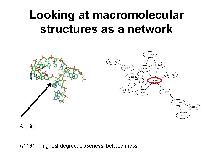 Looking at macromolecular structures as a network A 1191 = highest degree, closeness, betweenness