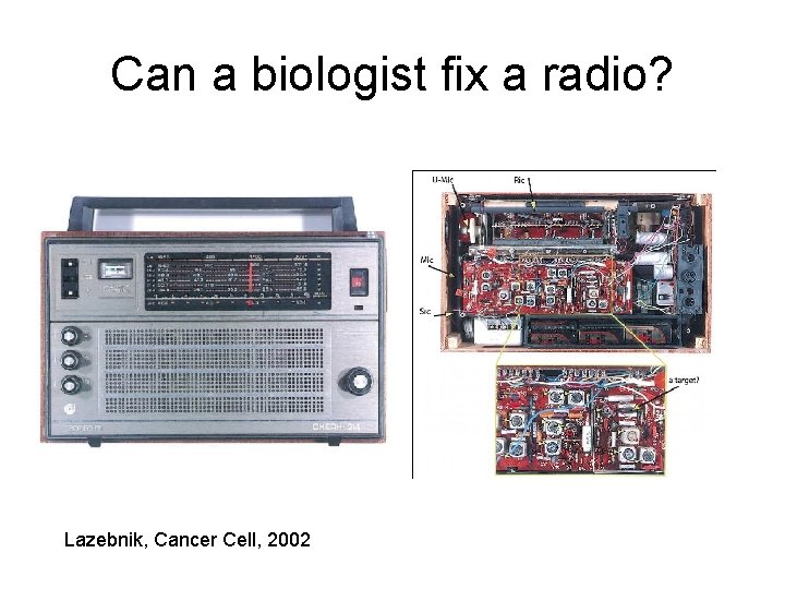 Can a biologist fix a radio? Lazebnik, Cancer Cell, 2002 