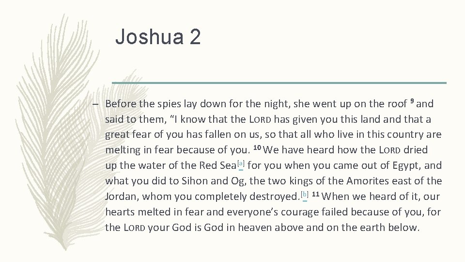 Joshua 2 – Before the spies lay down for the night, she went up